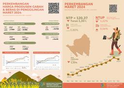 Lampung Provinces NTP In March 2024 Is 120.37 Or Down 1.35 Percent, GKG Prices At Farmer Level Fell 6.62 Percent, And Premium Rice Prices At Mills Rose 0.72 Percent