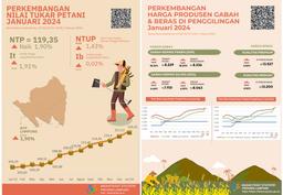 Lampung Provinces NTP In January 2024 Was 119.35 Or An Increase Of 1.90 Percent While GKG Prices At Farmer Level Rose 6.64 Percent And Premium Rice Prices At Mills Rose 2.26 Percent