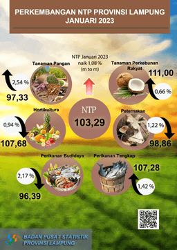 Development Of Farmers Exchange Rate In Lampung Province January 2023