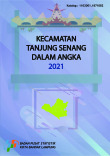 Kecamatan Tanjung Senang Dalam Angka 2021